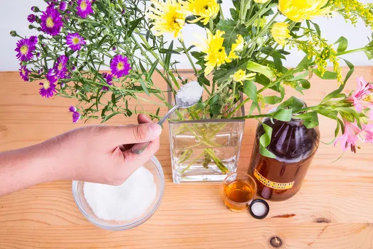 arroser les plantes avec du sucre fleurs coupées en vase