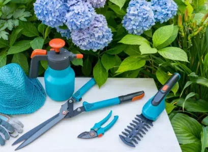 astuces entretien comment rebooster un hortensia apres l'hiver engrais taille printemps