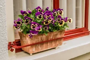 attacher une jardinière sur le rebord d'une fenêtre prendre mesures considérer direction ouverture fenêtre