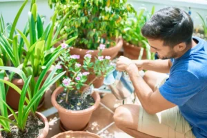 comment acclimater une plante interieur extérieur quand sortir les semis pots fleurs