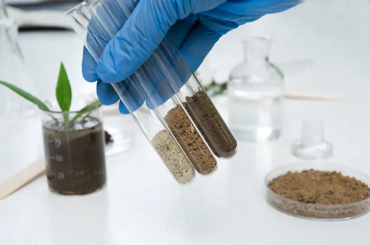 comment faire une analyse de sol soi même vérifier texture ph santé sol argileux sablonneux acide perméable