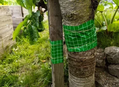 comment poser une bande de glu