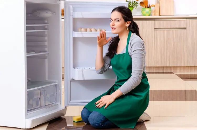 diminuer les frais d'énergie du frigo réfrigérateur fraîcheur odeur appareil énergivore dépensier