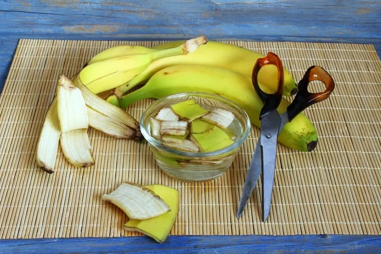 eau de banane fermentée pour booster les plantes