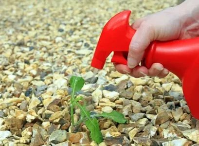 enlever mauvaises herbes cailloux