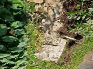 est ce que le carton est bon pour le jardin