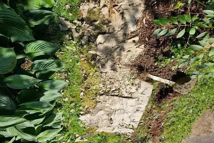 est ce que le carton est bon pour le jardin