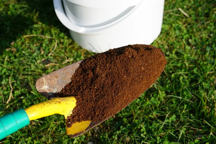 est ce que le marc de café est bon pour la pelouse quand mettre engrais naturelle gazon