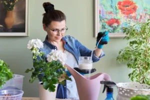 est ce que le sucre est bon pour les plantes