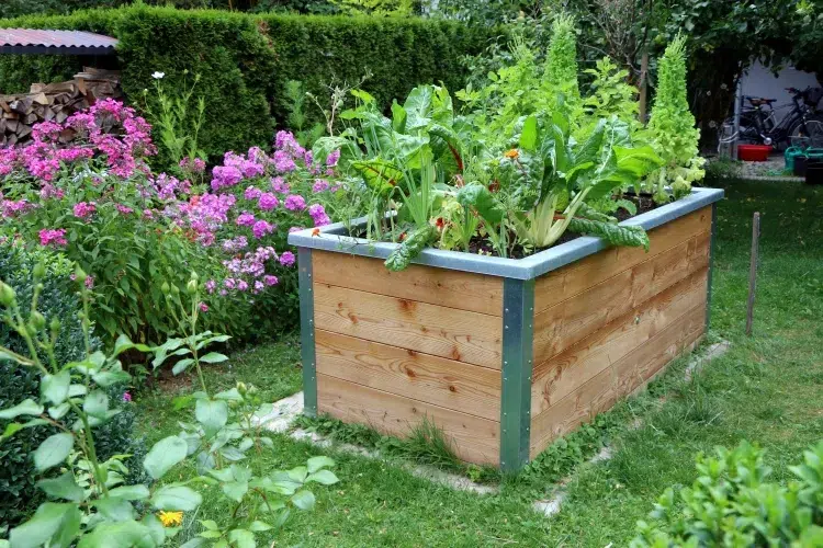 fabriquer une plate bande surélevée alternative forme jardinage profiter meilleure qualité sol