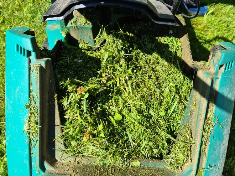 faire du compost avec la tonte de la pelouse sechage tas