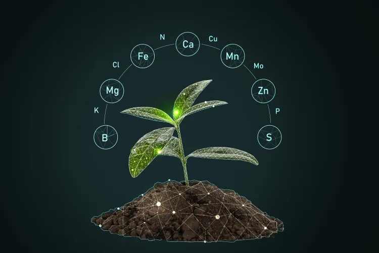 faire une analyse de sol matière organique améliore structure libère lentement nutriments