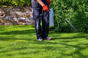 faut il appliquer un désherbant au printemps quel mois desherber roundup herbicide naturel vinaigre