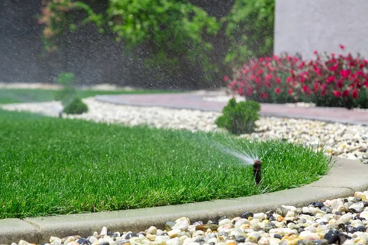 installer un système arrosage automatique gazon pelouse pour éloigner les chats