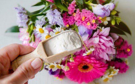 mettre bicarbonate de soude pour les fleurs coupées pour les conserver plus longtemps