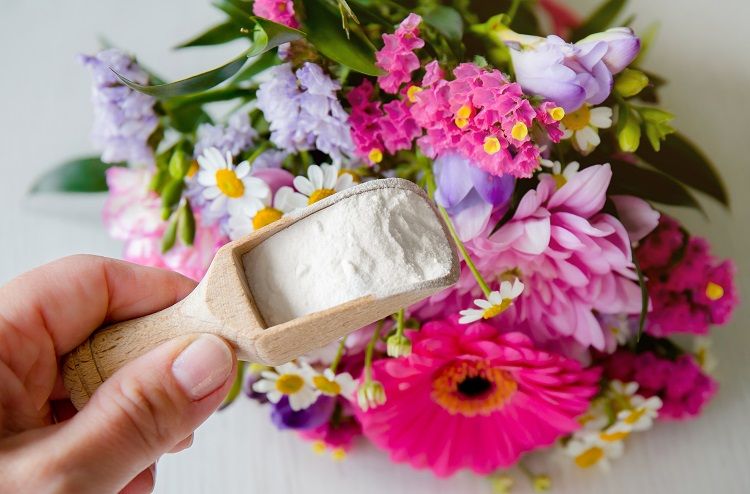 mettre bicarbonate de soude pour les fleurs coupées pour les conserver plus longtemps
