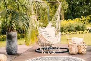 quel palmier en pot pour extérieur choisir terrasse jardin plein soleil mi ombre