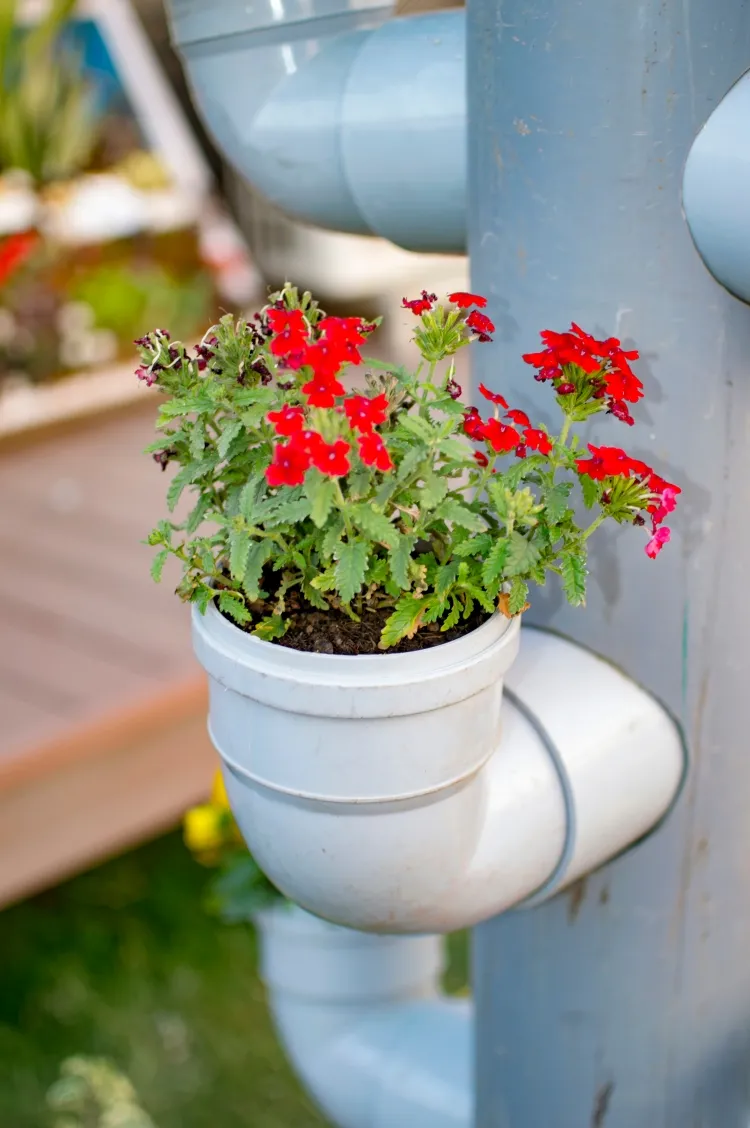 réutiliser un tuyau en pvc au jardin jolies installations fleurs jardinières suspendues insolites