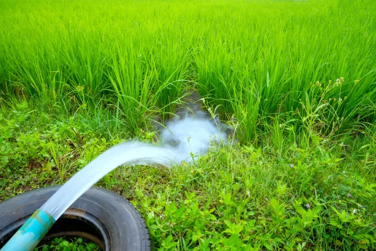 réutiliser un tuyau en pvc système arrosage durable fournir eau toutes plantes potager
