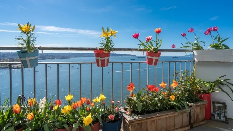 arbustes à planter au balcon comment orner raviver petit espace belle saison tâche organisationnelle esthétique