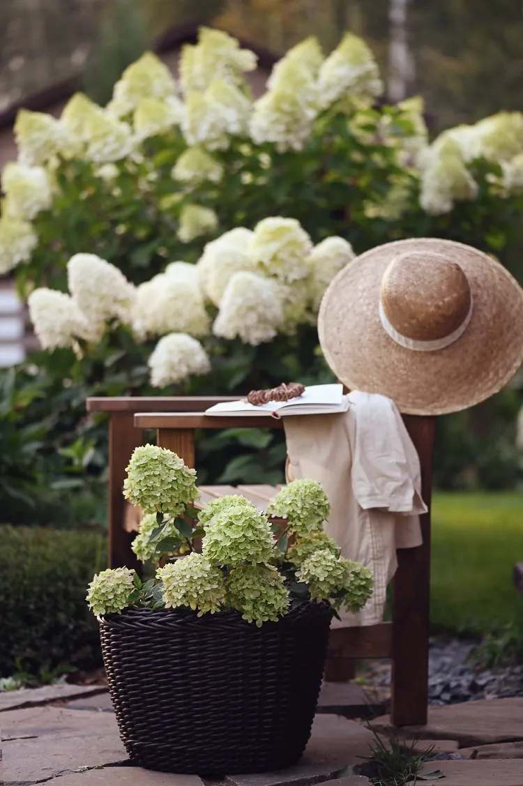 coin relax avec des hortensias blanches hydrangea chapeau table avec livre