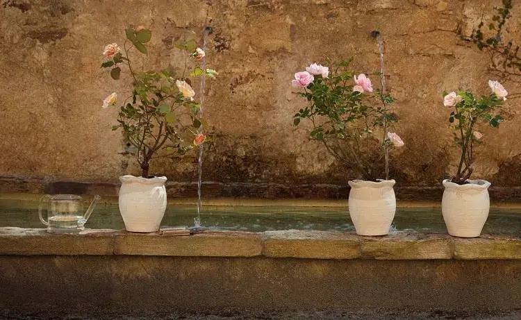 collection capsule zara jardin 2024 outils accessoires jardinage gardening printemps été pots fleurs style rustique méditerranéen