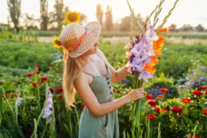 comment avoir de beaux glaïeuls plantes vivaces planter printemps terre réchauffée creuser tranchée
