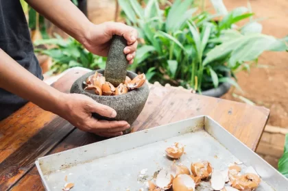 comment broyer les coquilles doeufs compost fleurs engrais