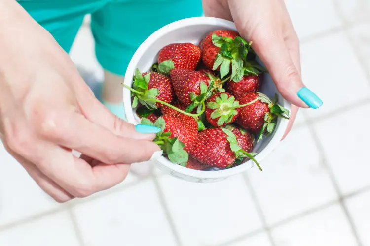 comment choisir les meilleures fraises sur le marché à manger variétés