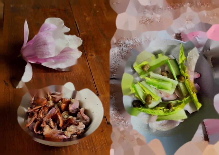 comment consommer les fleurs de magnolia