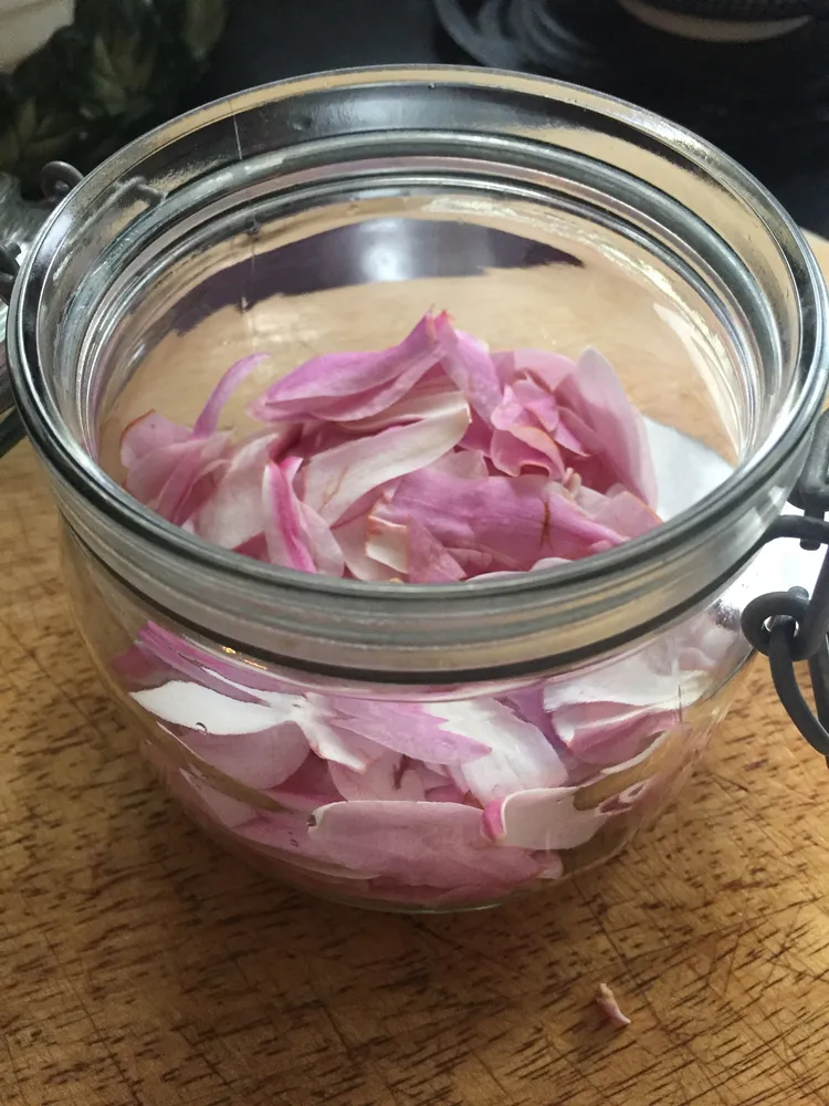 comment consommer les fleurs du magnolia