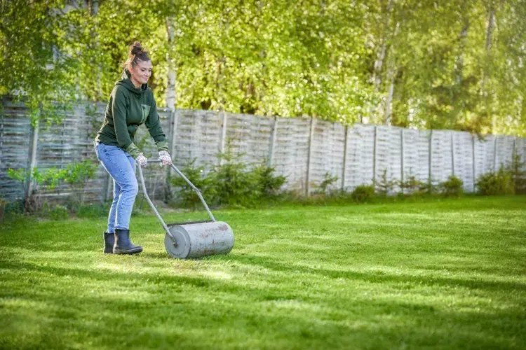 comment faire des bandes de gazon au jardin dispositifs méthode rayer strier pelouse