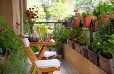 comment faire ombre sur son balcon plantes vertes pots jardnières