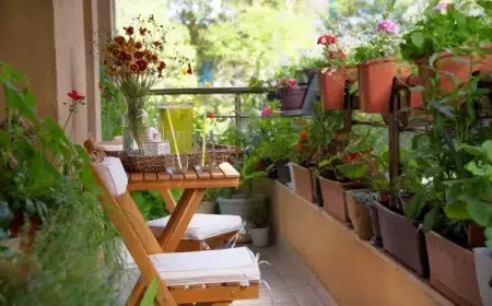 comment faire ombre sur son balcon plantes vertes pots jardnières