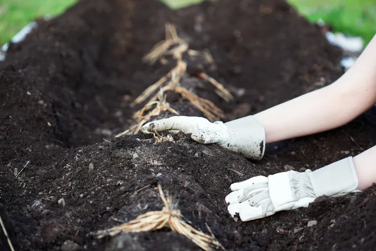 comment redonner vie à un sol mort composter tranchées mettre déchets alimentaires enterrer arroser