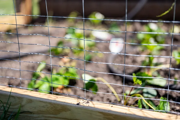 constuire barrière anti serpent vipères jardin clôture treillis métal
