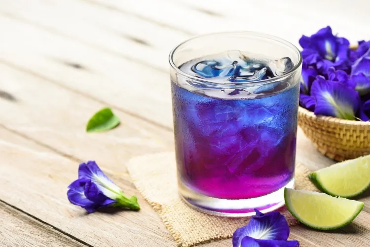 fleurs comestibles pour limonade faire bouillir violette première mois mars couleur bleu violet ajouter citron