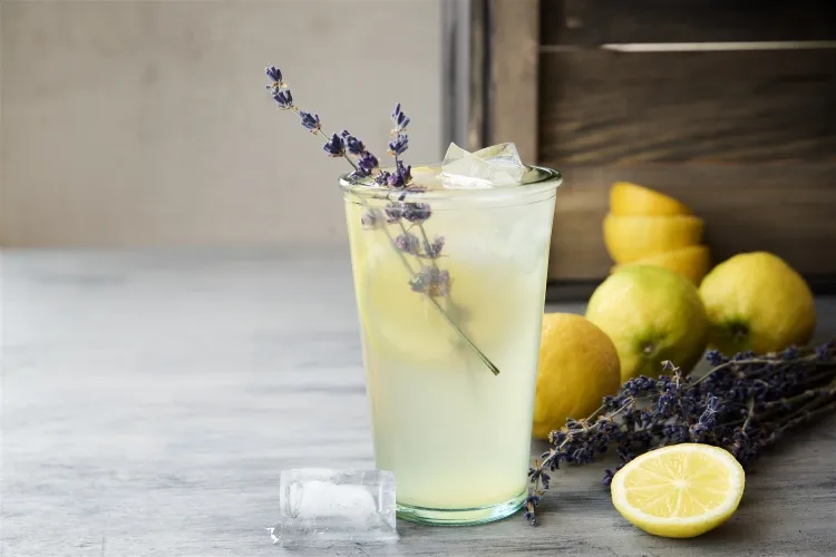 fleurs comestibles pour limonade opter boisson estivale associer saveurs parfums proportions correctes