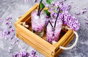 limonade aux fleurs de lilas ingredients sirop printemps