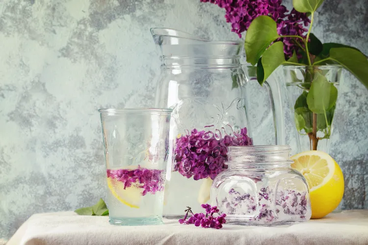 limonade aux fleurs de lilas ingredients sirop printemps été