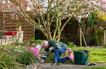 où planter un magnolia au jardin exposition soleil type de sol proximité (1)