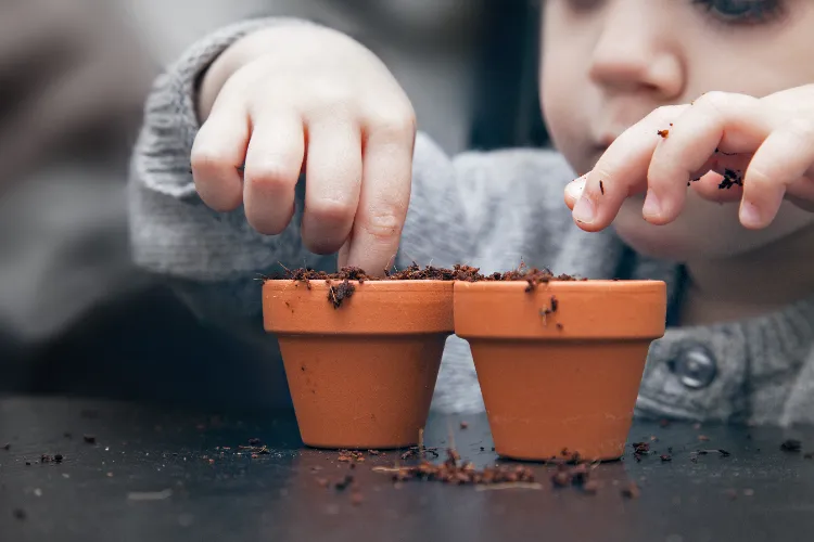 planter des graines avec des enfants