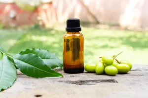 quand comment utiliser l huile de neem au jardin sur les plantes quels bienfaits