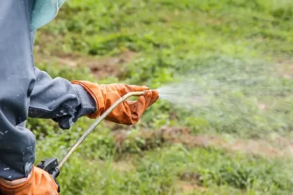 quand passer le désherbant matin ou soir appliquer herbicide quel est le meilleur moment année