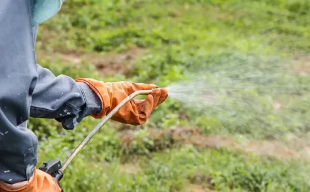 quand passer le désherbant matin ou soir appliquer herbicide quel est le meilleur moment année