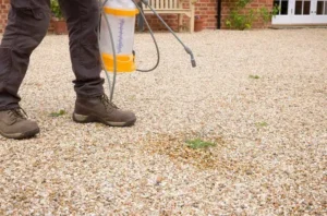 quel désherbant pour remplacer le roundup produits alternatifs efficaces pusisants