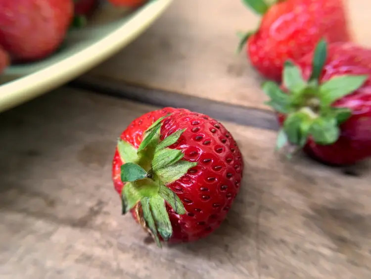 quelle est la fraise la plus goûteuse choisir astuces marché 