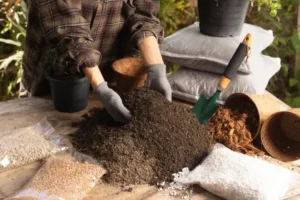 quelle quantité de terre pour un pot comment calculer volume terreau taille