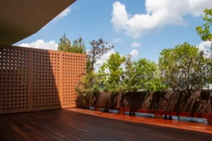 plantes qui poussent rapidement terrasse balcon cacher vis a vis radoslav cajkovic shutterstock