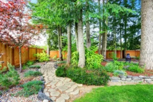 que planter au pied d'un pin jardin hostas hortensias plantes compagnes artazum shutterstock